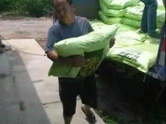 專業人工搬運服務 安全高效，全面保障